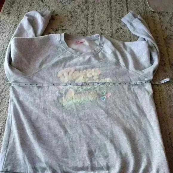 Stoney Clover Lane x Target Womens Gray Limited Edition Sweatshirt 1X - Picture 11 of 12